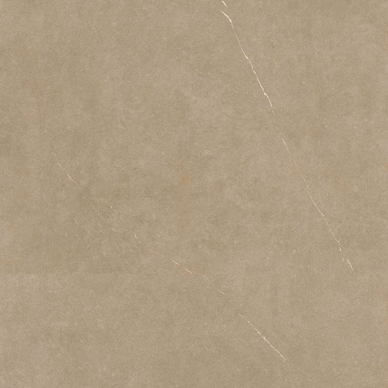 MELITA CAMEL G6