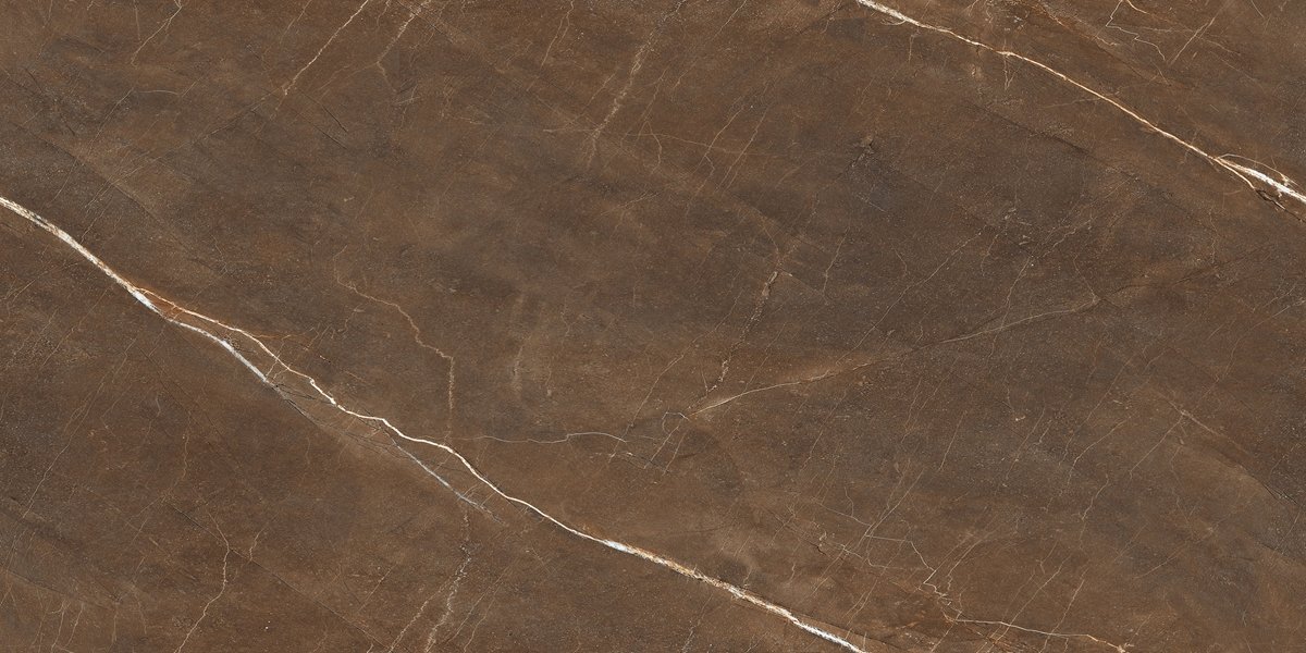 PULPIS BRONZE