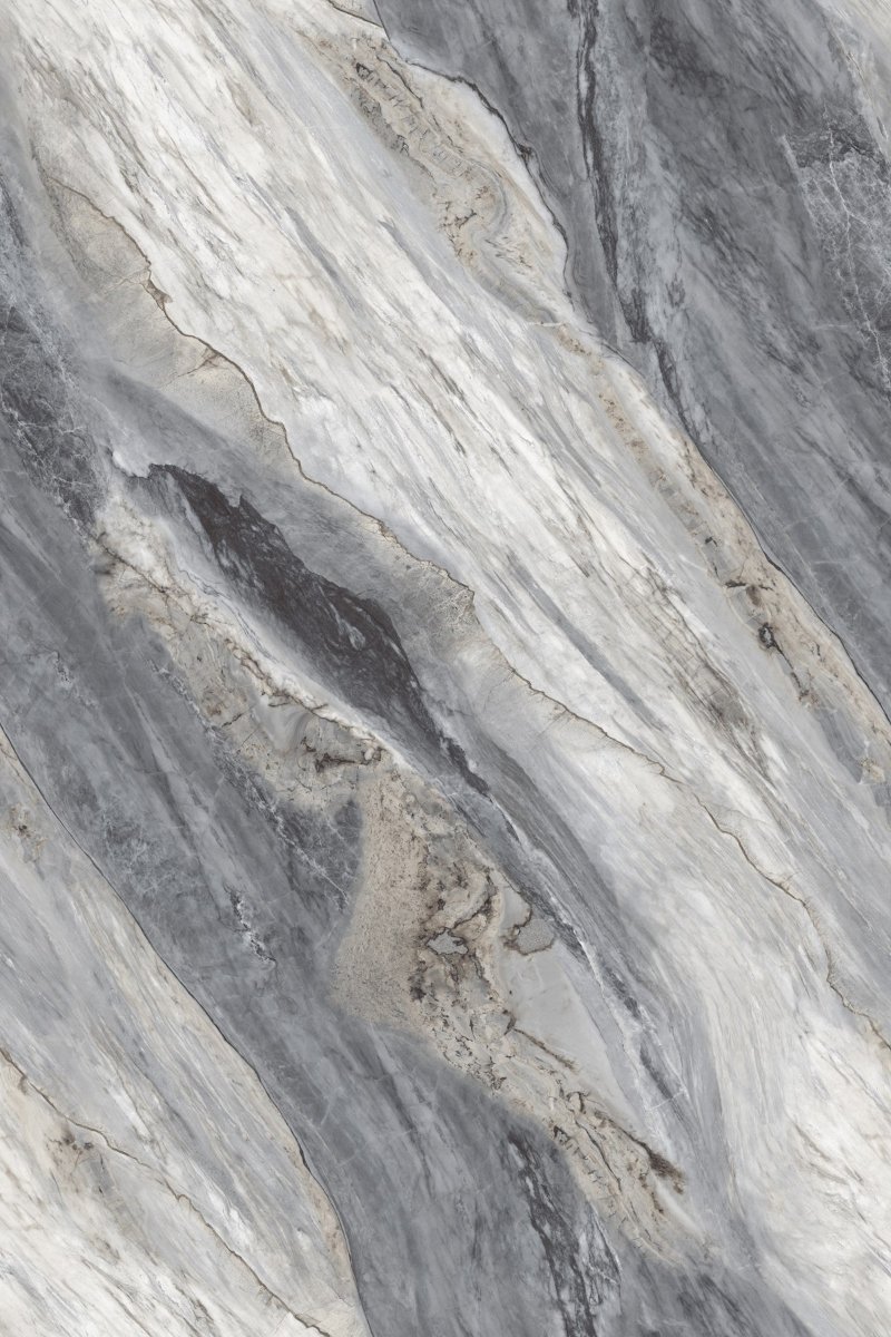 ENCILLIA GREY