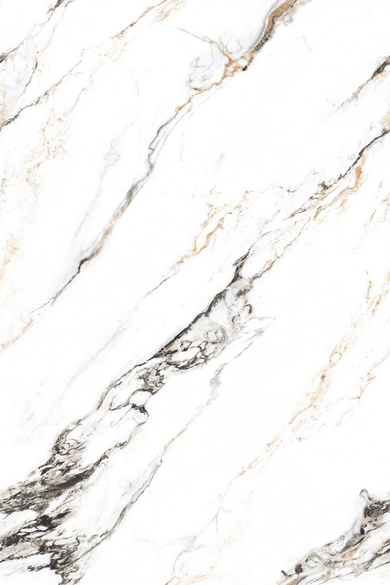 MACAEL WHITE-R1