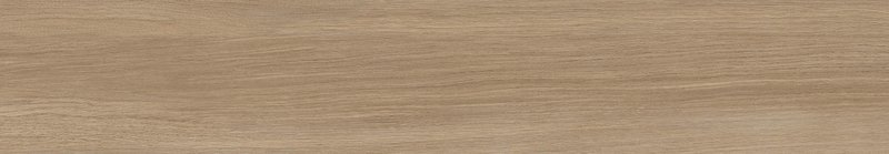 PALMWOOD Collection