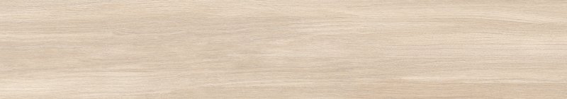 PALMWOOD Collection 2