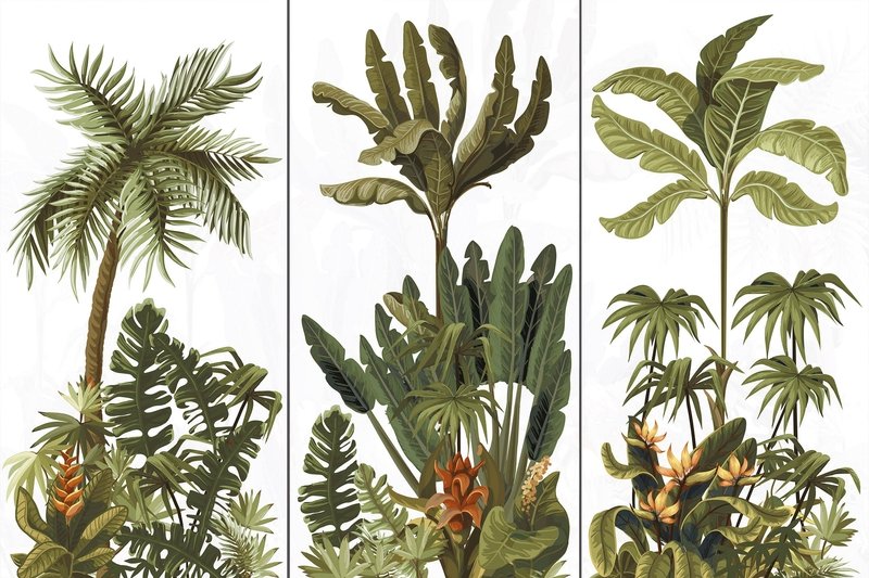 BOTANIK Collection
