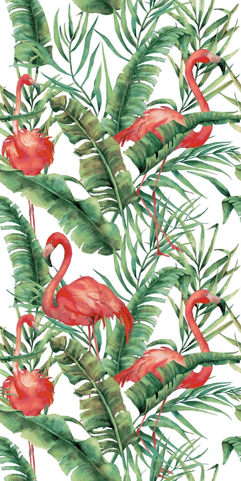 FLAMINGO Collection