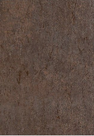 VIR KLADS 3100 — Paris Brown 3