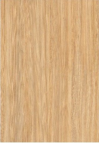VIR KLADS 5180 — European White Elm 3