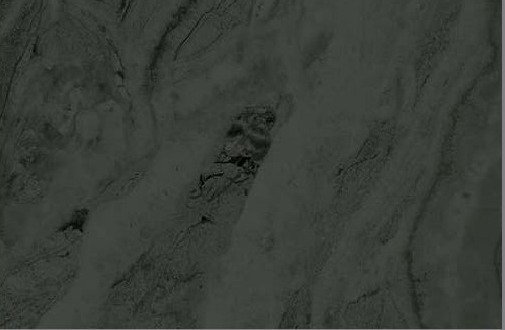 VIR 7840 — Trenta Stone Dark 3