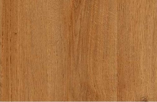 VIR 7841 — Laurel Oak 3