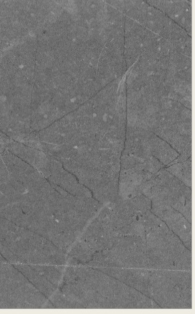 VIR Prelam 7846 — Pietra Grey 3