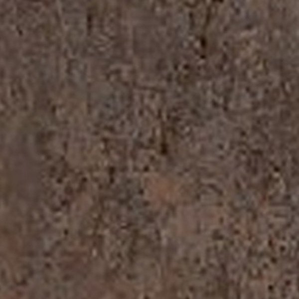 VIR KLADS 3100 — Paris Brown 2