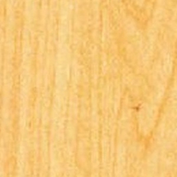 VIR 1176 — American Maple 2