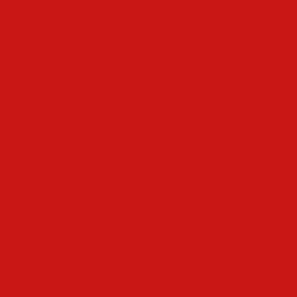 VIR 3029 — Brilliant Red 2