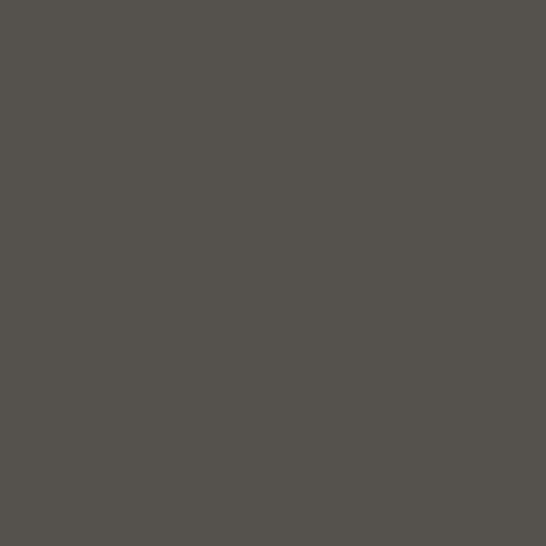 VIR 6009 — Iron Grey 2