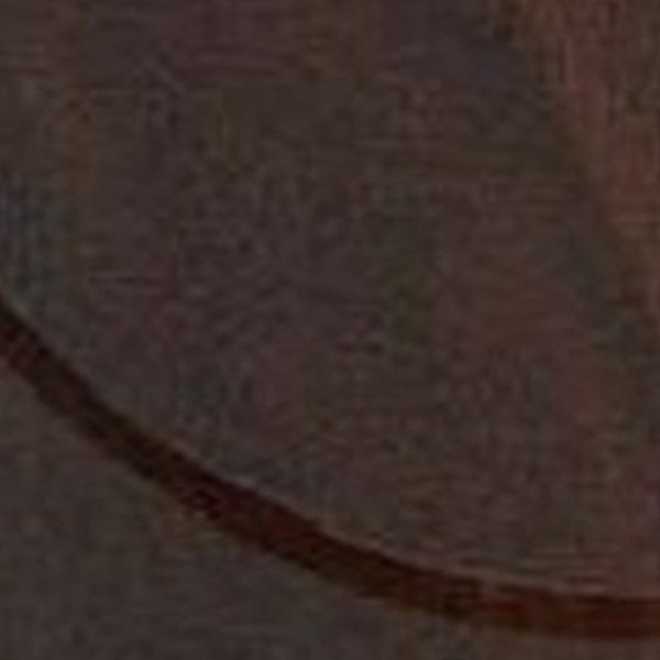 VIR 7609 — Spike Oak Dark 2