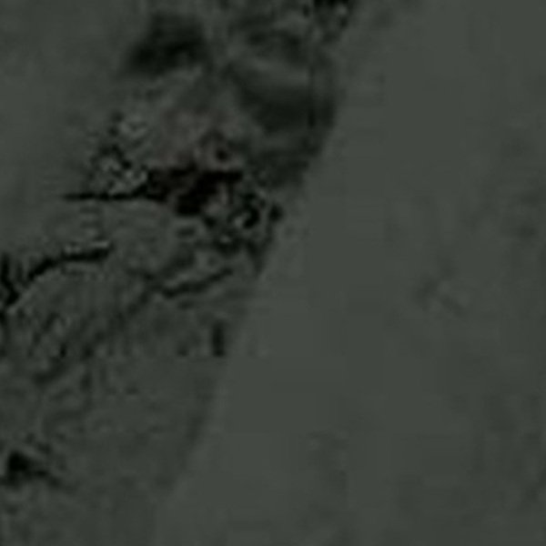 VIR 7840 — Trenta Stone Dark 2