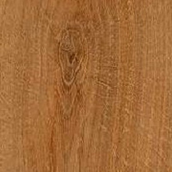 VIR 7841 — Laurel Oak 2