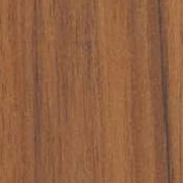 VIR 7916 — Pasture Walnut 2
