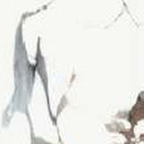 VIR 7960 — Arezzo Gold 2