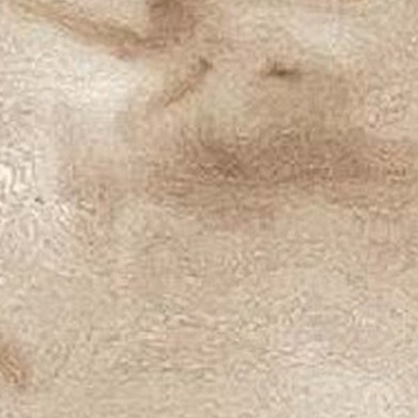 VIR 7981 — Breccia Gold 2