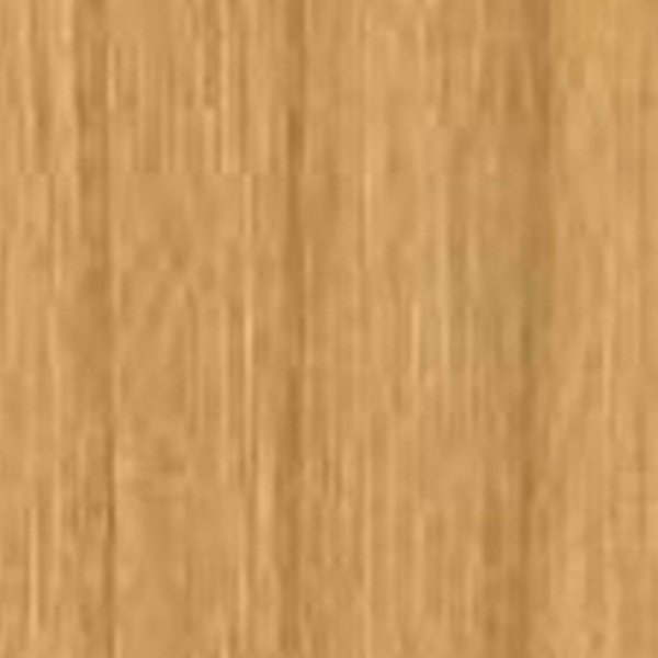VIR 8221 — Devon Ash Light 2