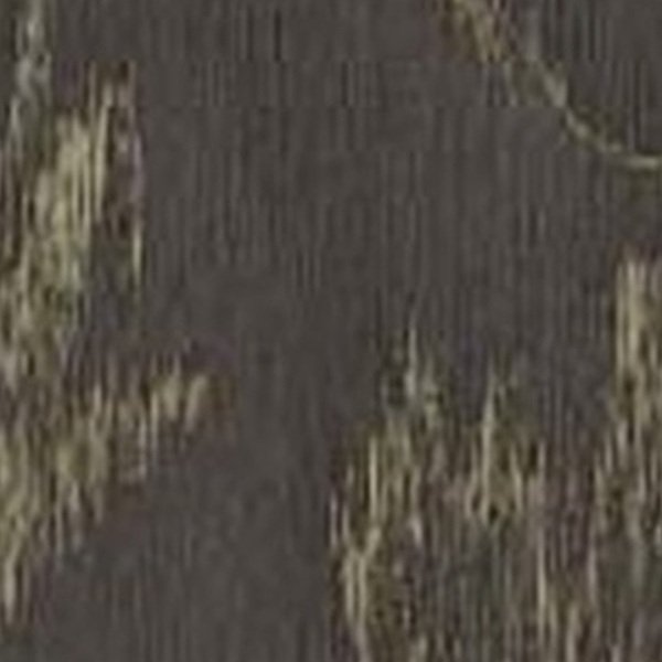 VIR 8235 — Spirito 2