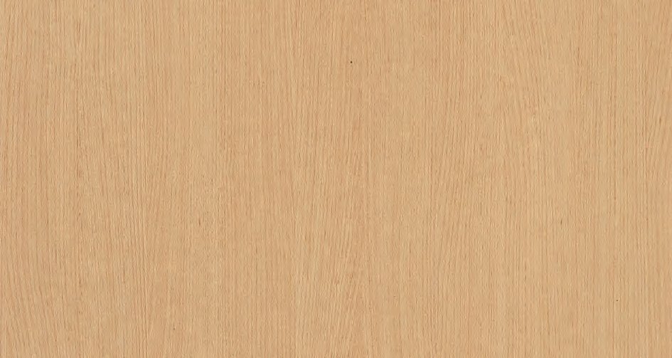 VIR KLADS 8129 — Princess Beech