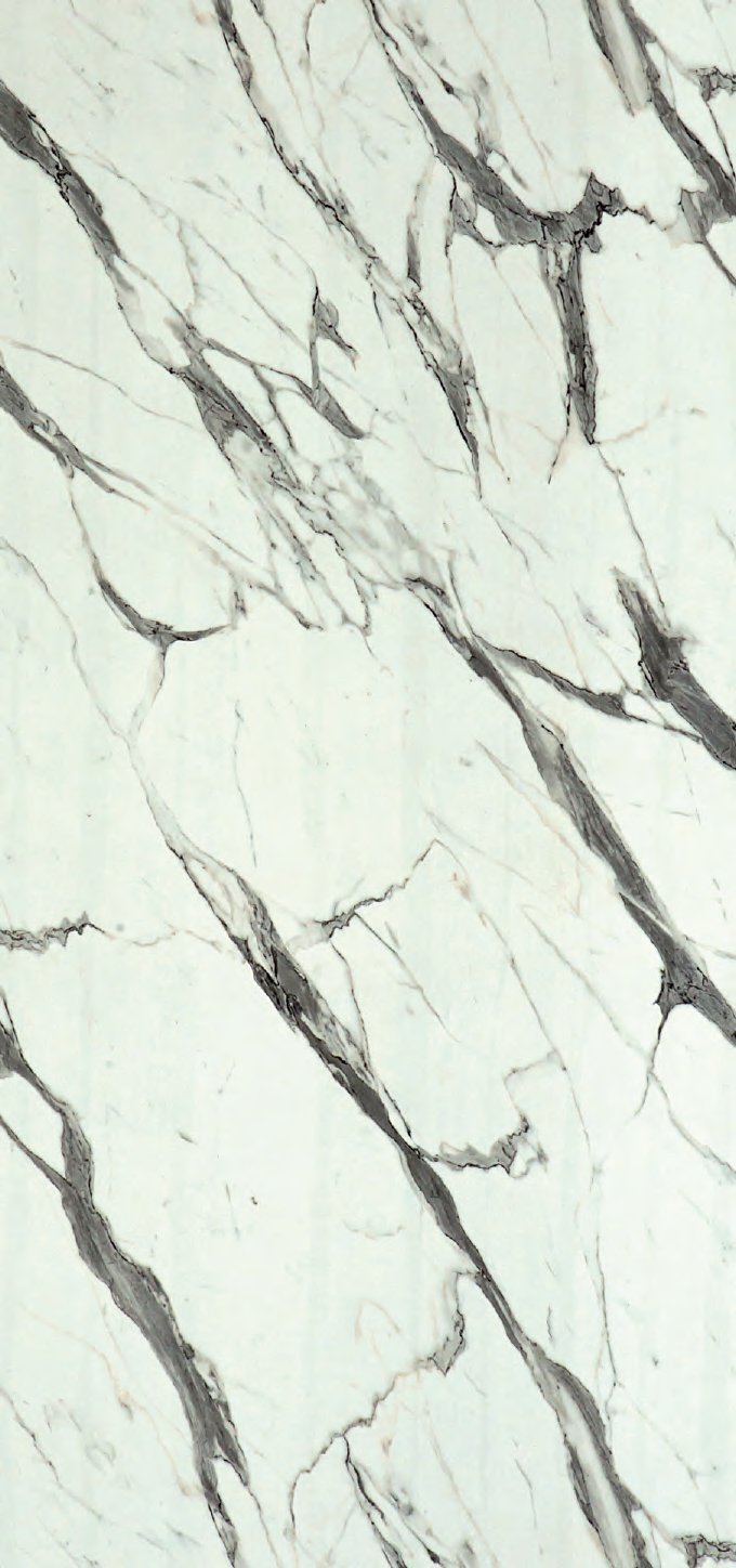 VIR KLADS 8582 — Bonito