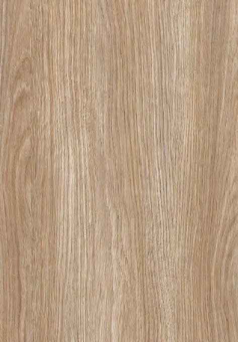 VIR KLADS 9315 — Mushroom Chestnut