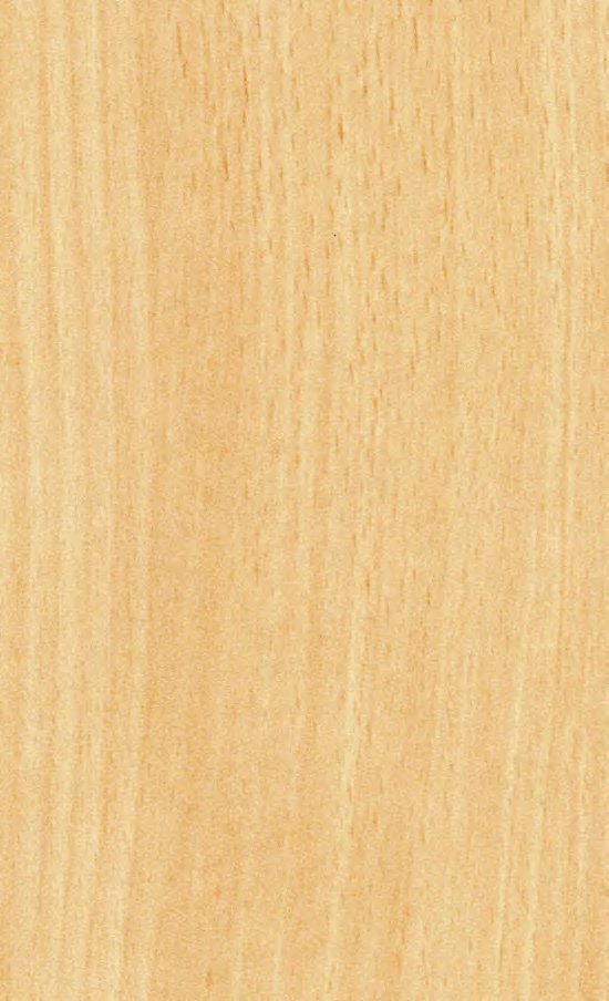 VIR 1130 — Bavarian Beech