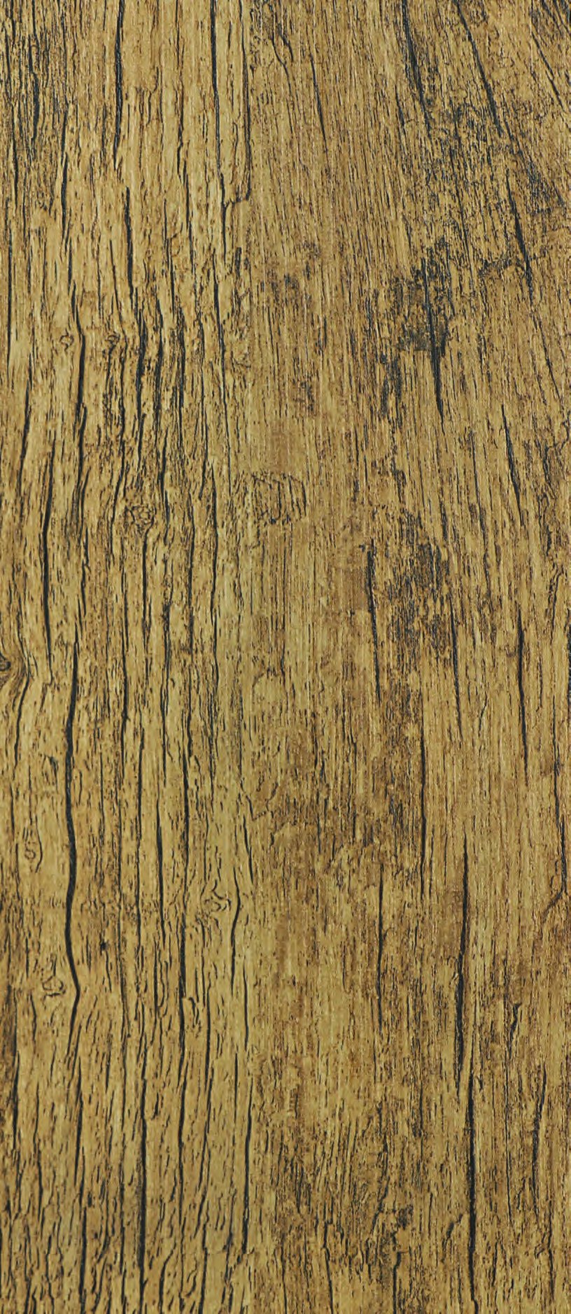 VIR 117 — Bunty Oak