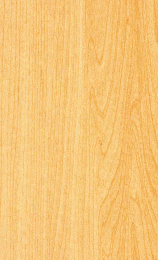 VIR 1176 — American Maple