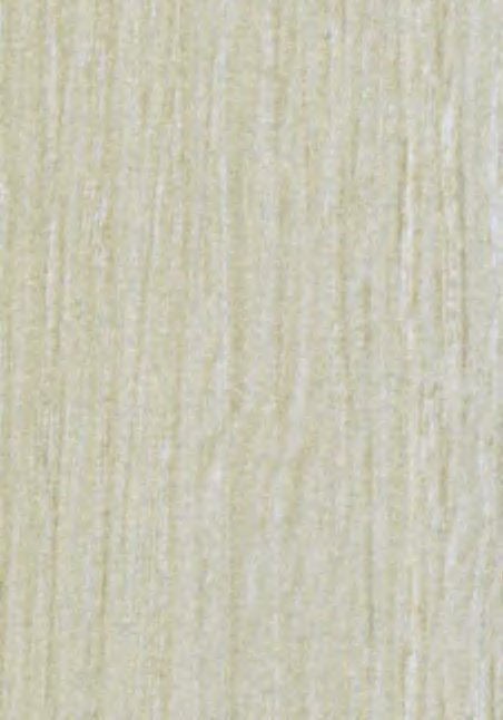 VIR 2221 — Mild Beech