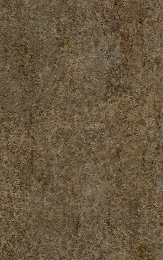 VIR 3100 — Paris Brown