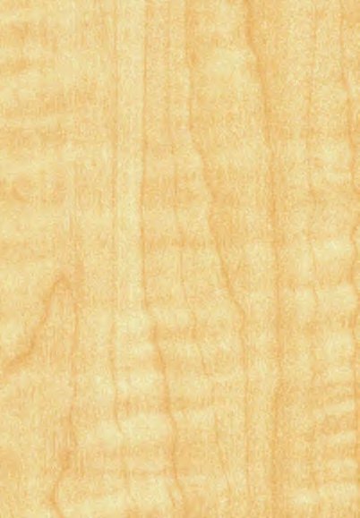VIR 3311 — Lynar Maple