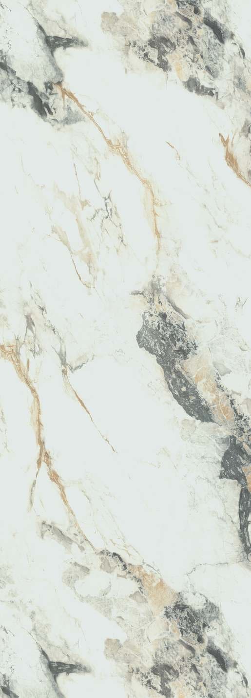 VIR 7993 — Patagonia