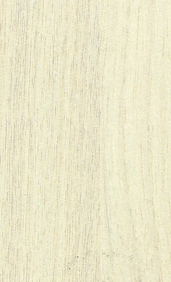 VIR 8116 — Luminosity Walnut