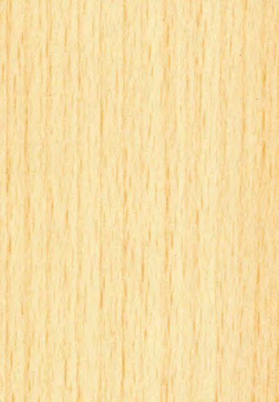 VIR 8129 — Princess Beech