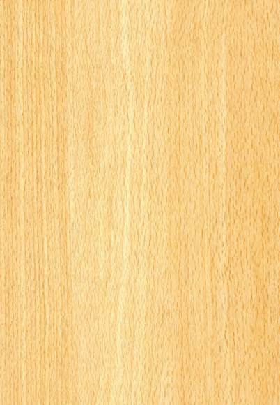 VIR 8140 — Japan Beech