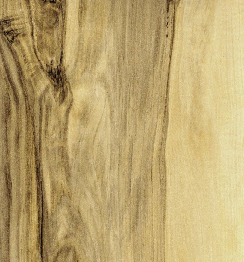 VIR 8145 — Storm Wood