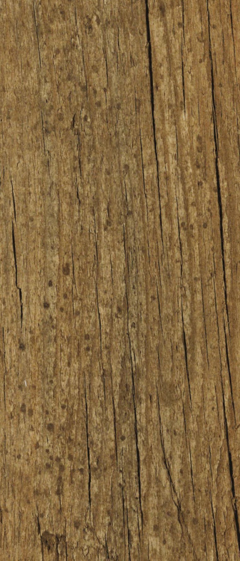 VIR 8146 — Vintage Wood