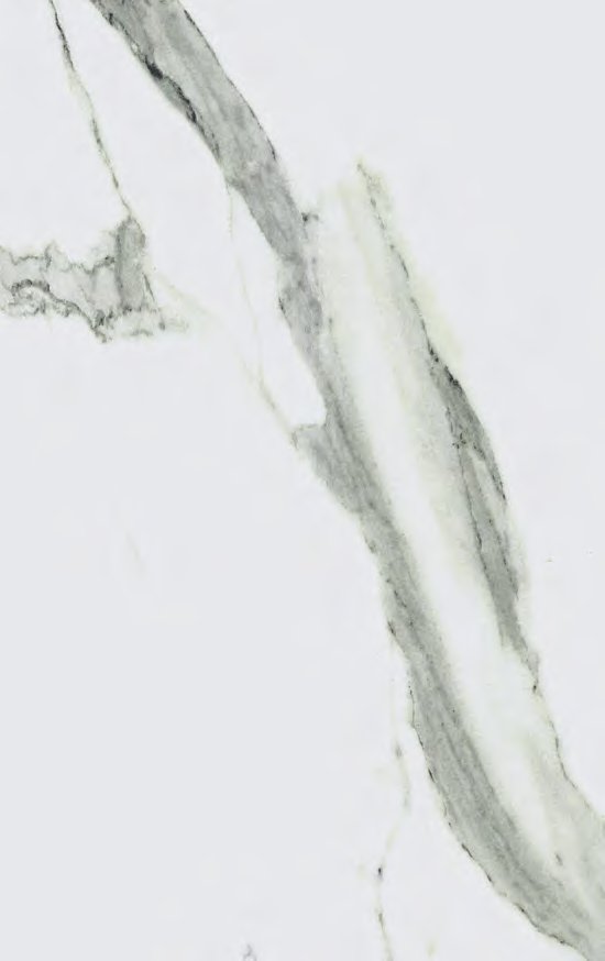 VIR 8582 — Bonito
