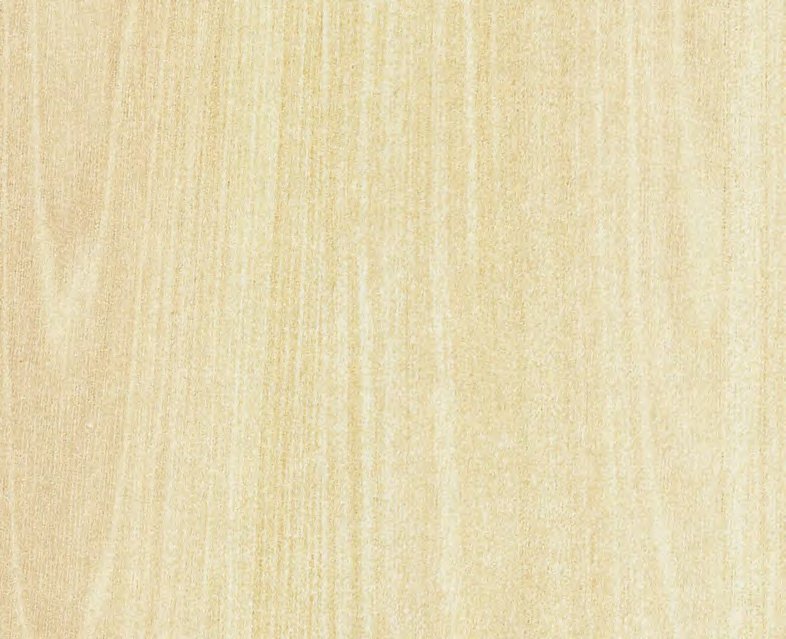 VIR 8605 — Pearl Elm