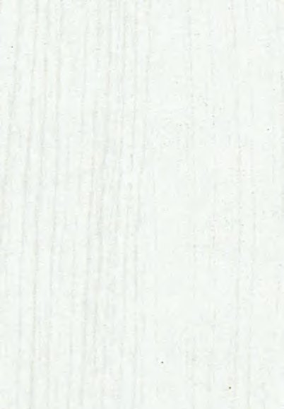 VIR 8637 — Rossini Eiche White