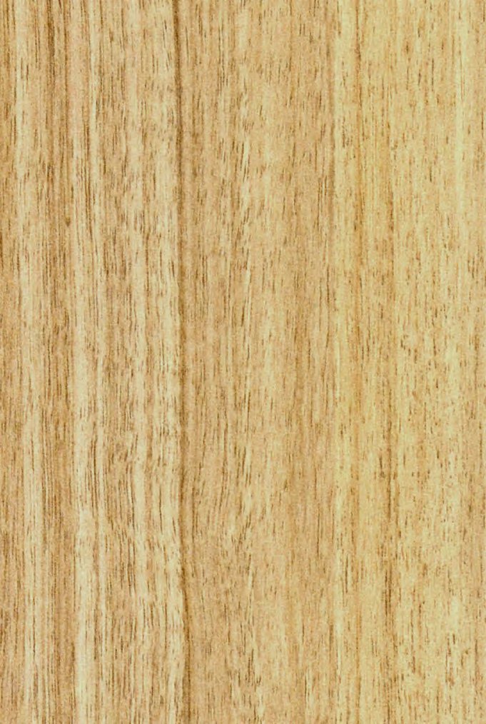VIR 8666 — Tom Walnut