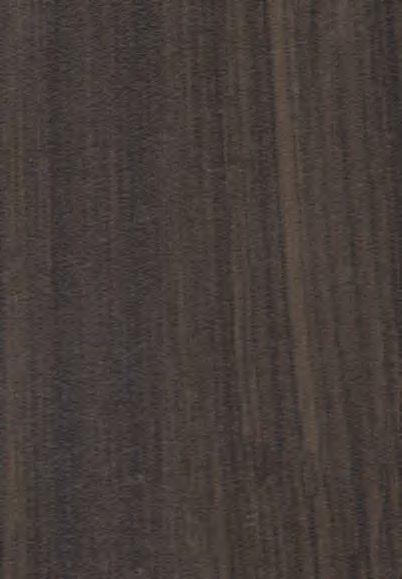 VIR 8753 — European Walnut