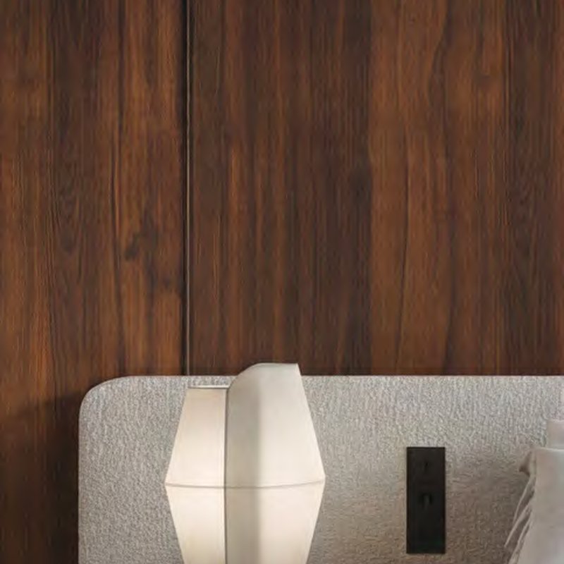 VIR 9541 — Cocao Timber