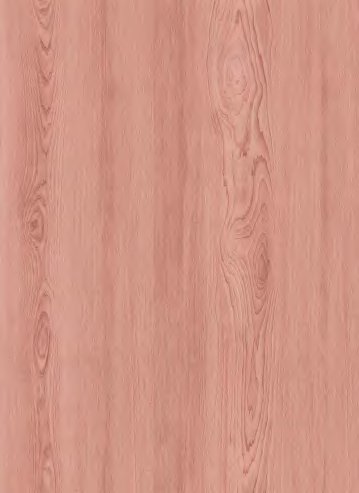 VIR 9905 — Rose Timber