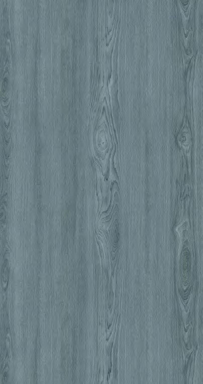 VIR 9906 — Bluewood Frost
