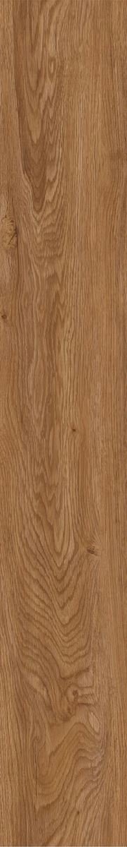 Lyptus — SPC Glue Down Flooring 3