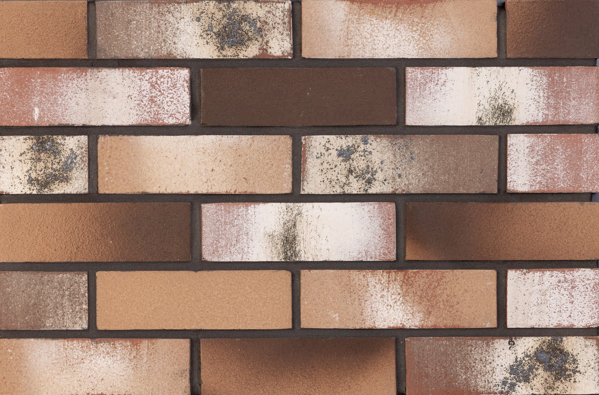 Smooth Brick Slip — Milas